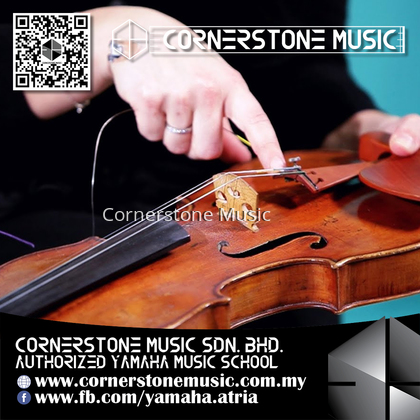 Sandner 4/4 Violin Strings Full Set ( G D A E String )